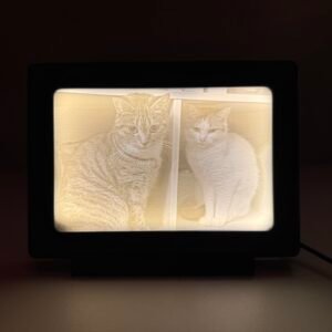 Gaismas bilde 100x150mm melnā carbon rāmītī ar LED